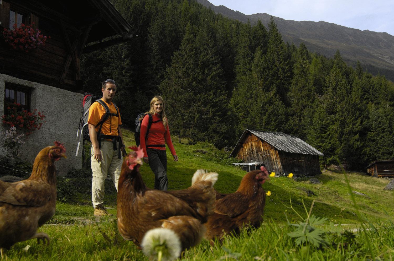 Aparthaus Camping Stubai Neustift im Stubaital Buitenkant foto